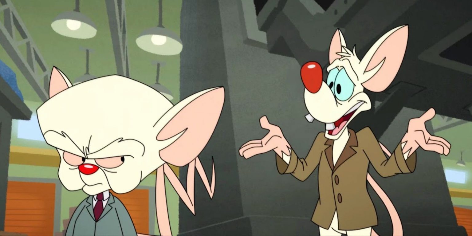download pinky and the brain reboot