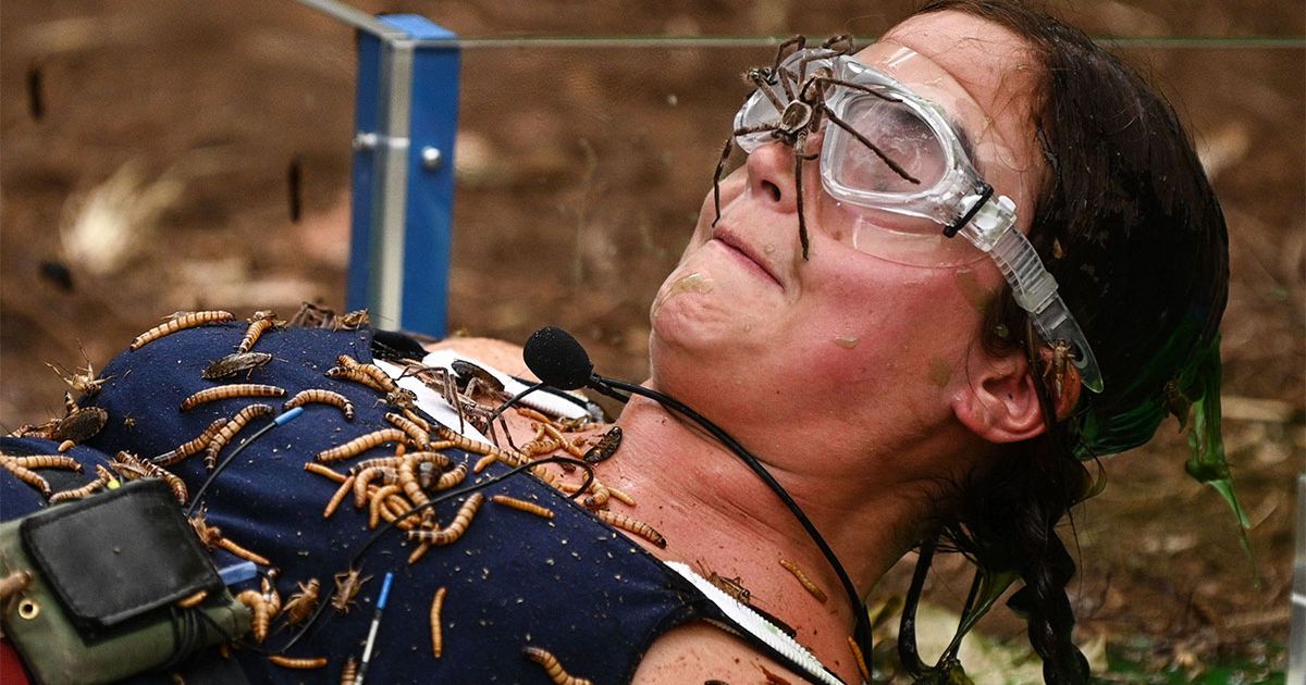 I'm A Celebrity...Get Me Out Of Here: Most iconic Bushtucker Trials from the past 20 years