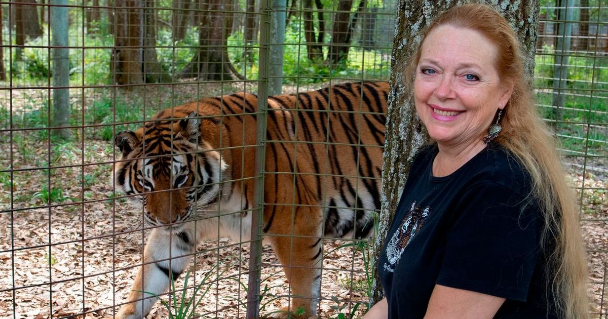 Tiger King's Carole Baskin sues Netflix to stop release of new series