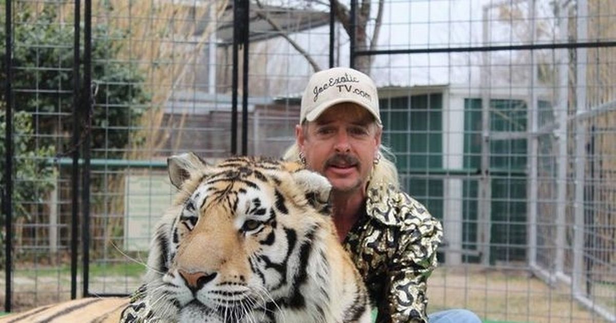 Tiger King's grisly tragedies - accidental death, arm bitten off and crushed legs