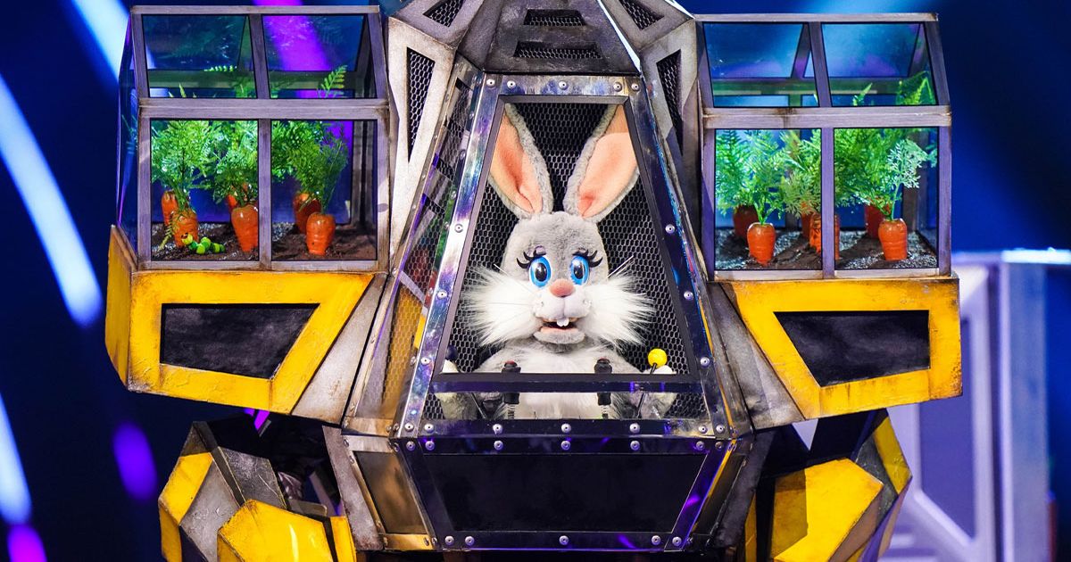 Who is Robobunny on The Masked Singer? All the clues and fan theories ahead of final