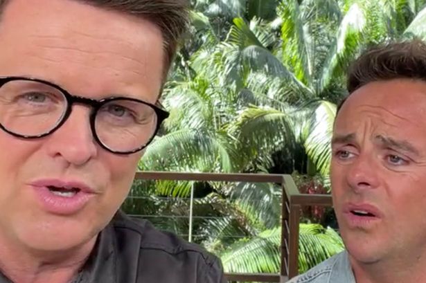 I'm A Celebrity's Ant and Dec blast Matt Hancock as they fume over camp fail