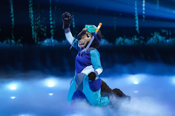 Otter 'gives away identity' after dropping huge clue on The Masked Singer