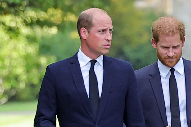 Worried Prince William told Harry he has been 'brainwashed by therapist' in royal row